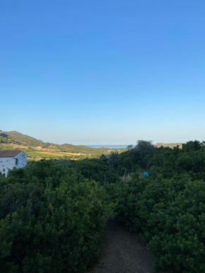 APPARTAMENTO SARRALA VISTA MARE